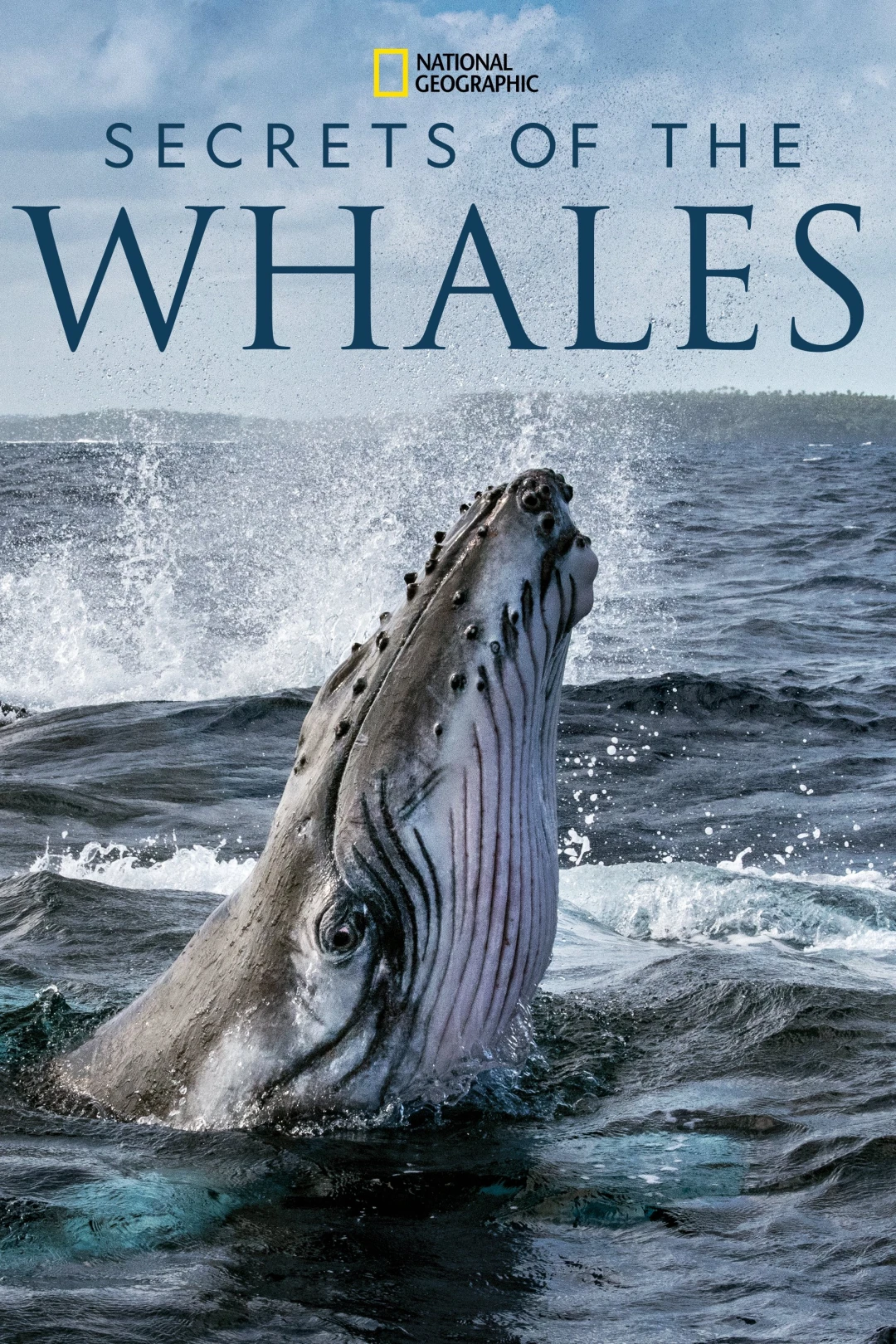 Bí Ẩn Của Loài Cá Voi (Secrets of the Whales) [2021]