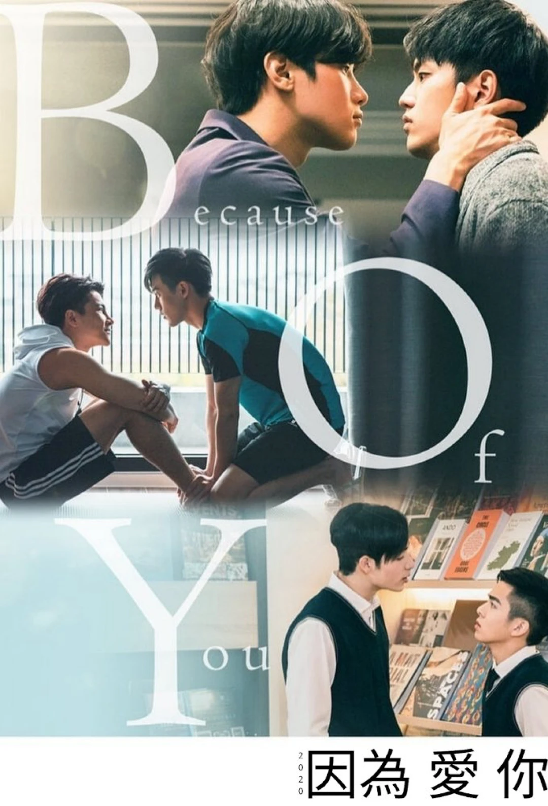 Bởi Vì Yêu 2020 (Because of You) [2020]