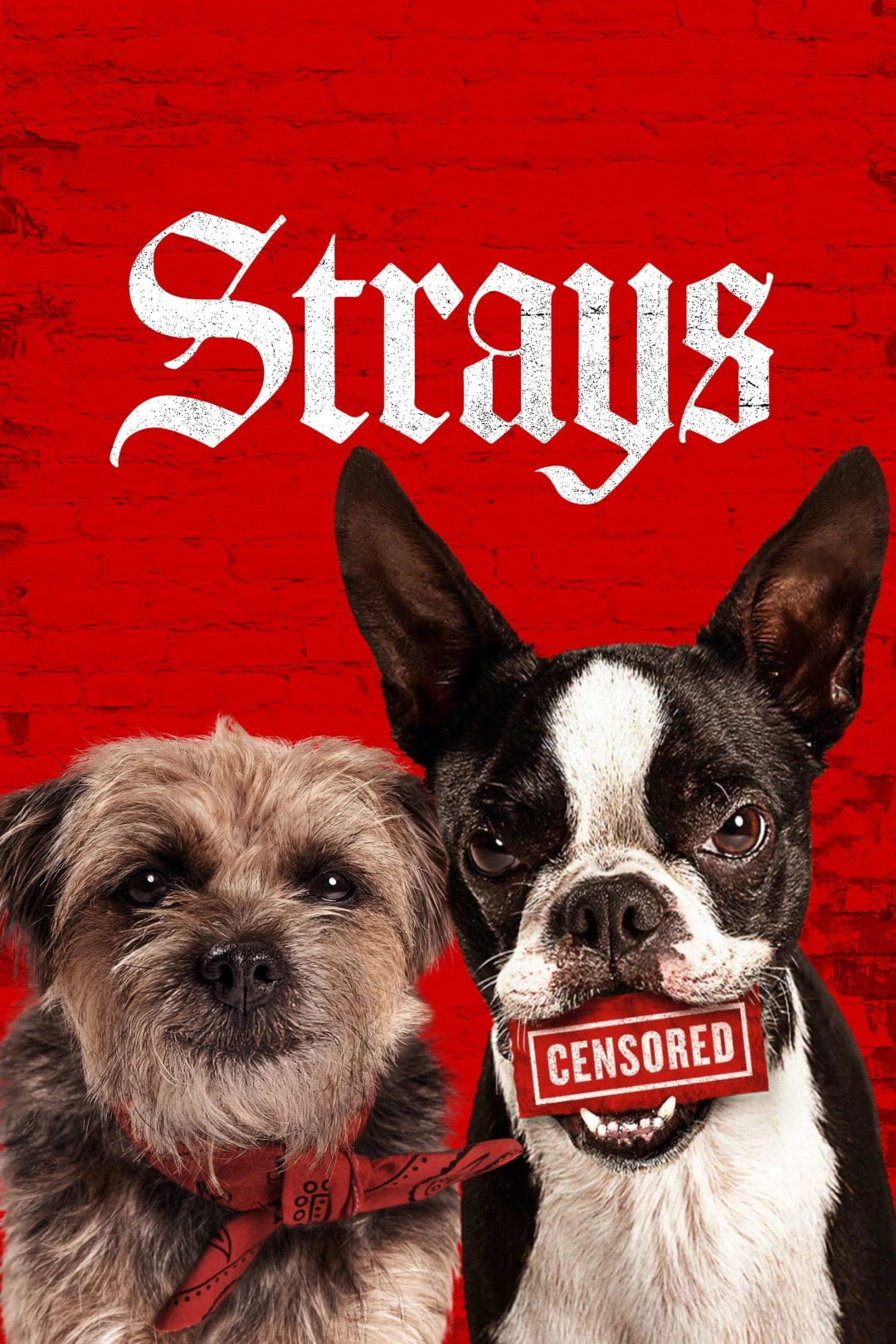 Đời Quá Chó (Những Chú Chó Bụi Đời) (Strays) [2023]