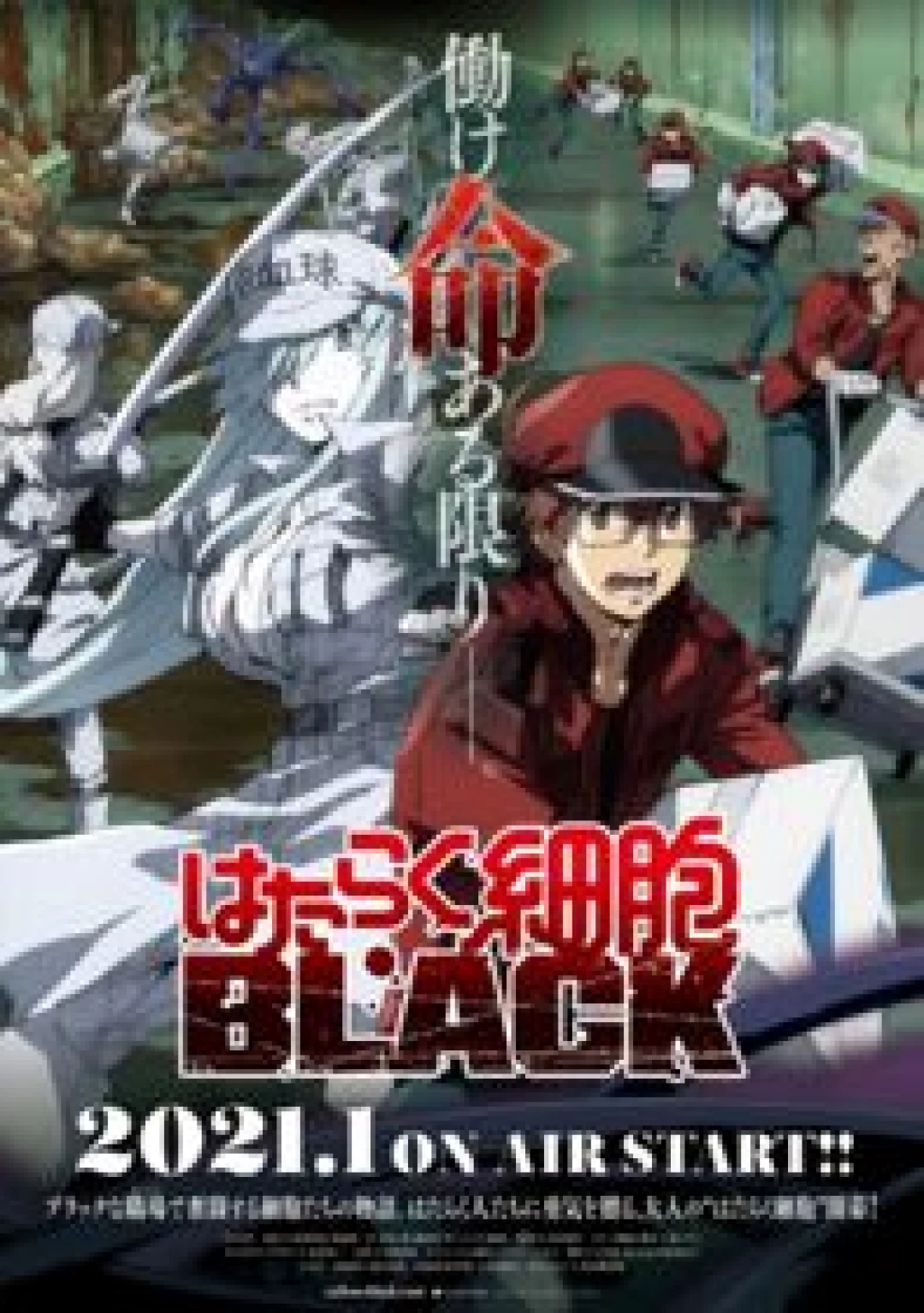 Hataraku Saibou Black (CODE BLACK) [2021]