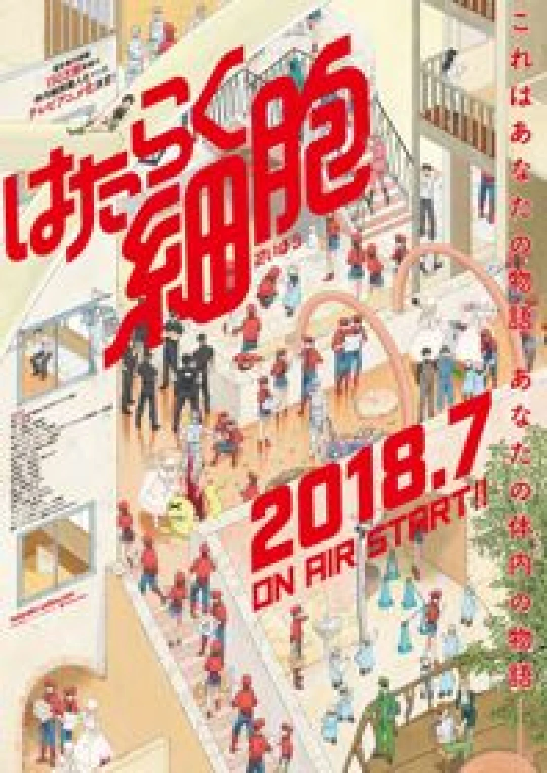 Hataraku Saibou (Cells at Work) [2018]