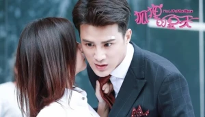 Mùa Hè Của Hồ Ly (Phần 2)