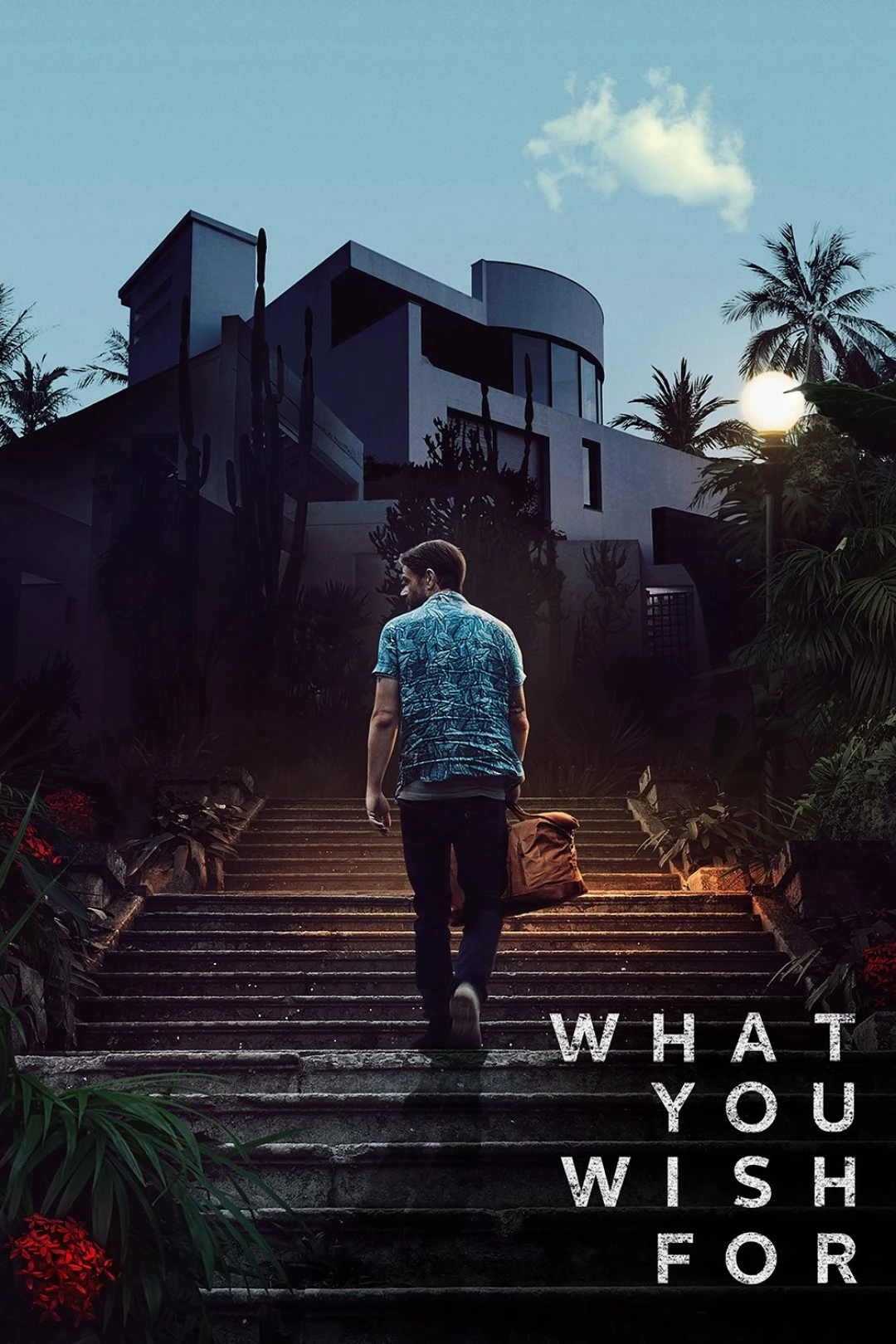 What You Wish For (What You Wish For) [2024]